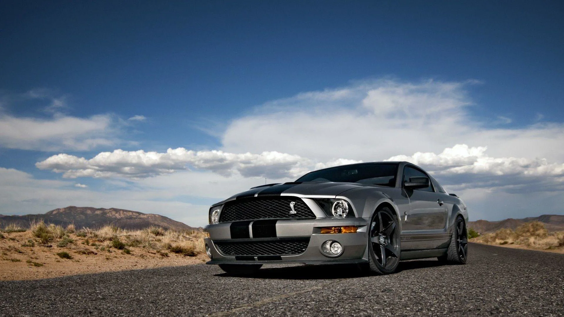Ready Set Ford
